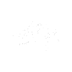 Stryx.pl